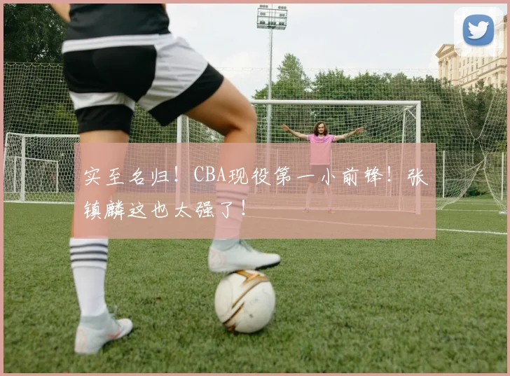 实至名归！CBA现役第一小前锋！张镇麟这也太强了！