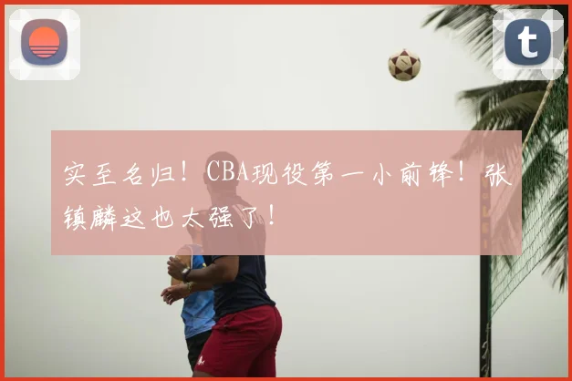 实至名归！CBA现役第一小前锋！张镇麟这也太强了！