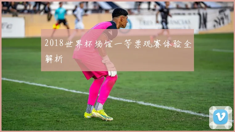 2018世界杯场馆一等票观赛体验全解析
