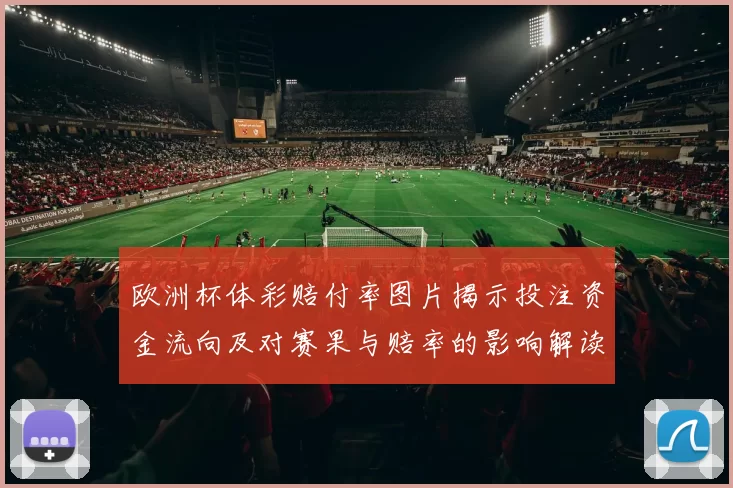 欧洲杯体彩赔付率图片揭示投注资金流向及对赛果与赔率的影响解读