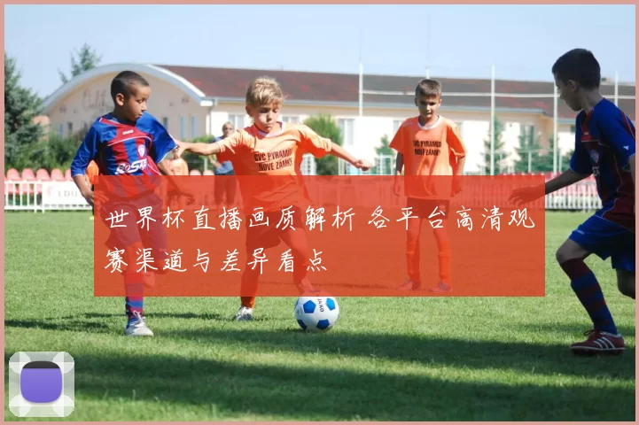 世界杯直播画质解析 各平台高清观赛渠道与差异看点