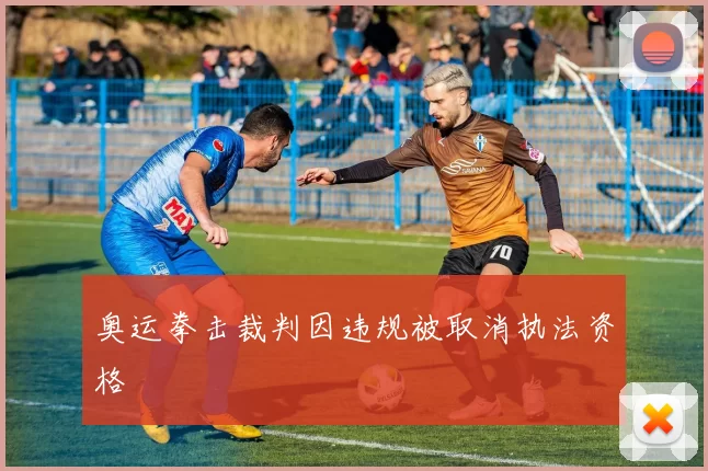 奥运拳击裁判因违规被取消执法资格