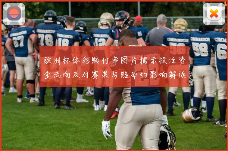 欧洲杯体彩赔付率图片揭示投注资金流向及对赛果与赔率的影响解读