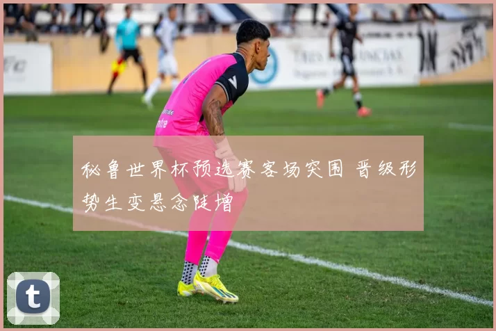 秘鲁世界杯预选赛客场突围 晋级形势生变悬念陡增