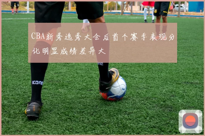 CBA新秀选秀大会后首个赛季表现分化明显成绩差异大